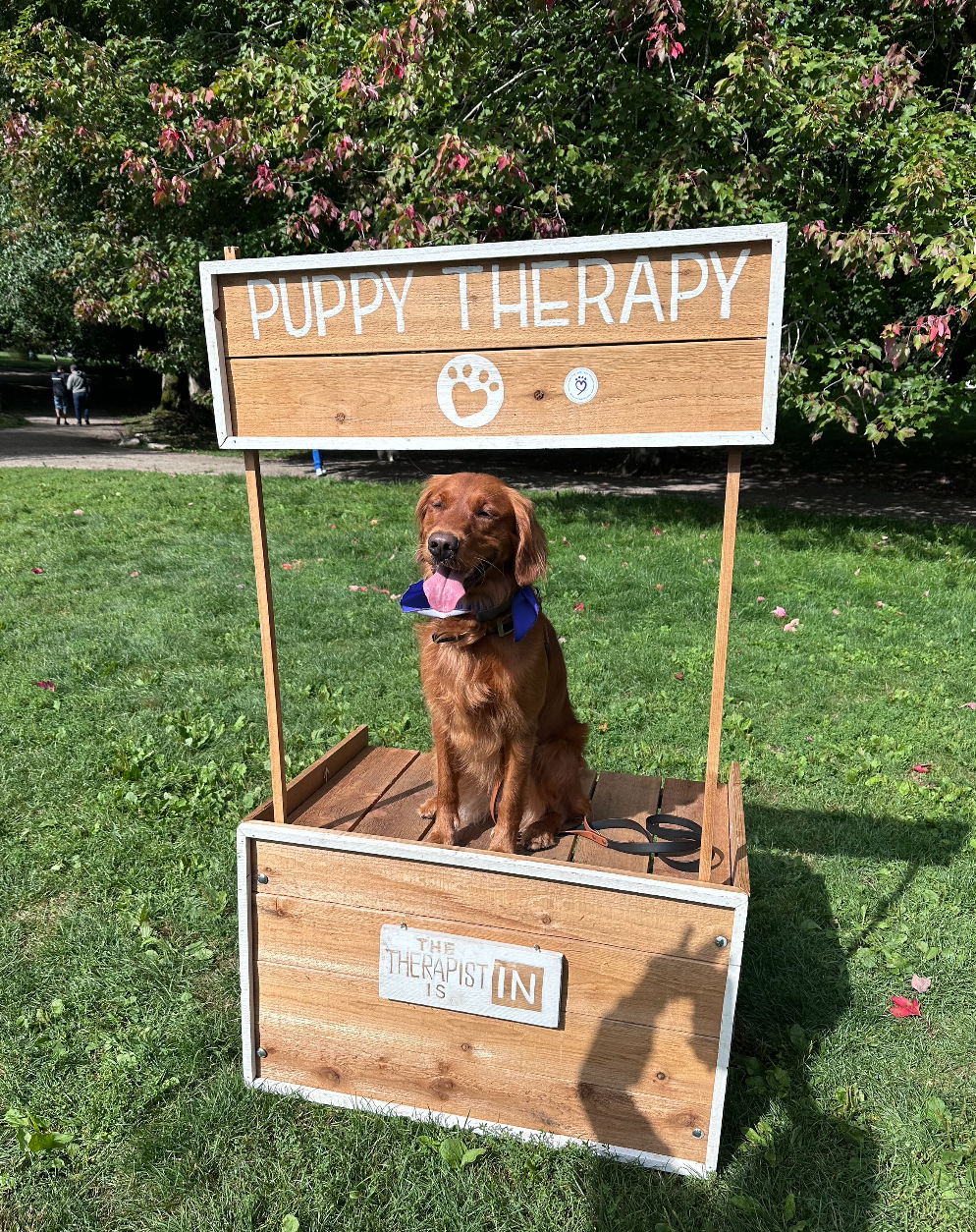 Pets and Friends Volunteer Appreciation Event Sept 2024