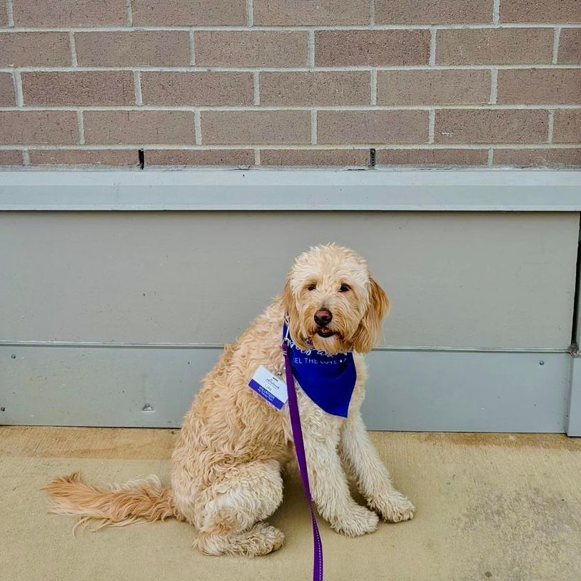 Susanne & Lyka Just Before Their Visit Seniors Home Visit