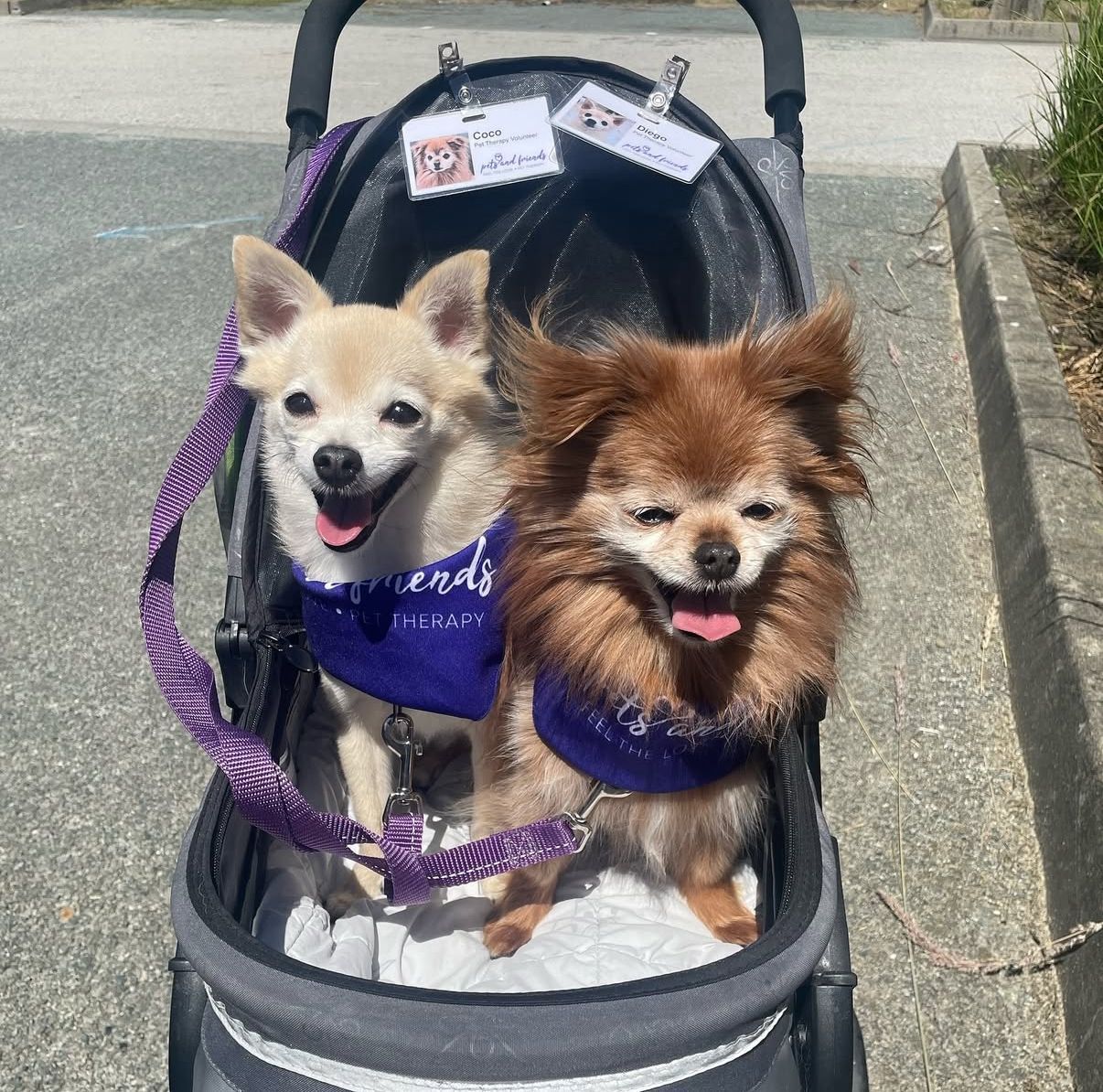 Volunteering at Simon Fraser University