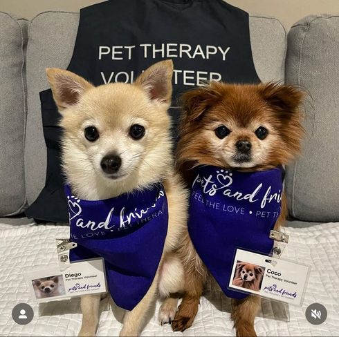 Coco, Daisy, and Carolyn volunteering at Langley Lodge.