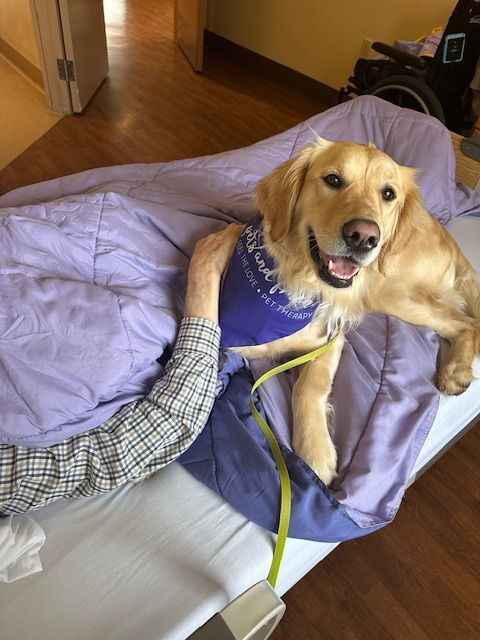 Coco volunteering at Langley Lodge.