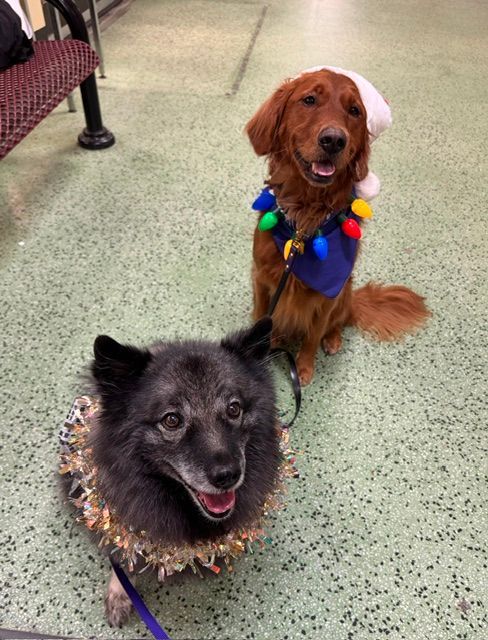 Volunteering at Simon Fraser University