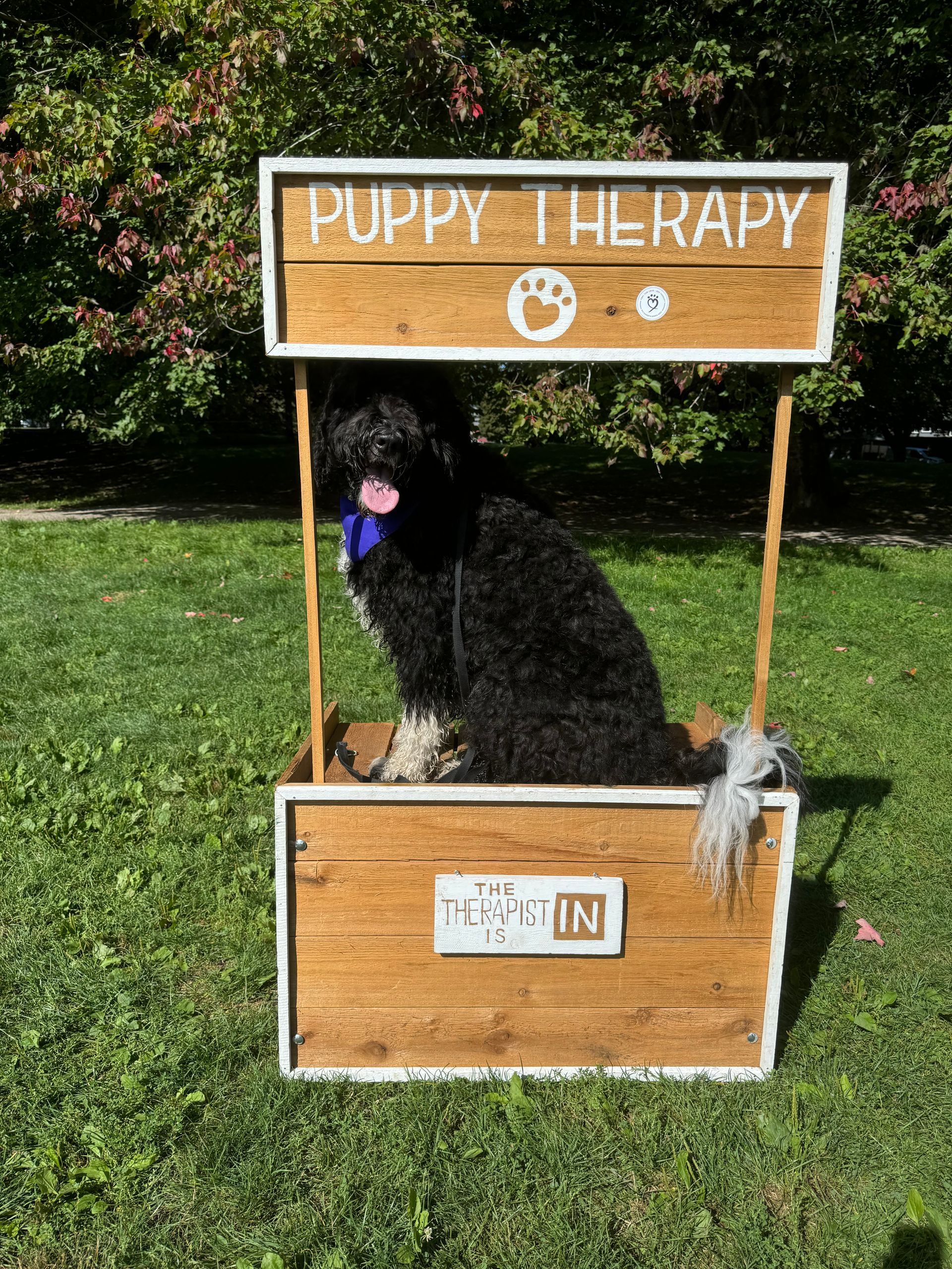 Pets and Friends Volunteer Appreciation Event Sept 2024