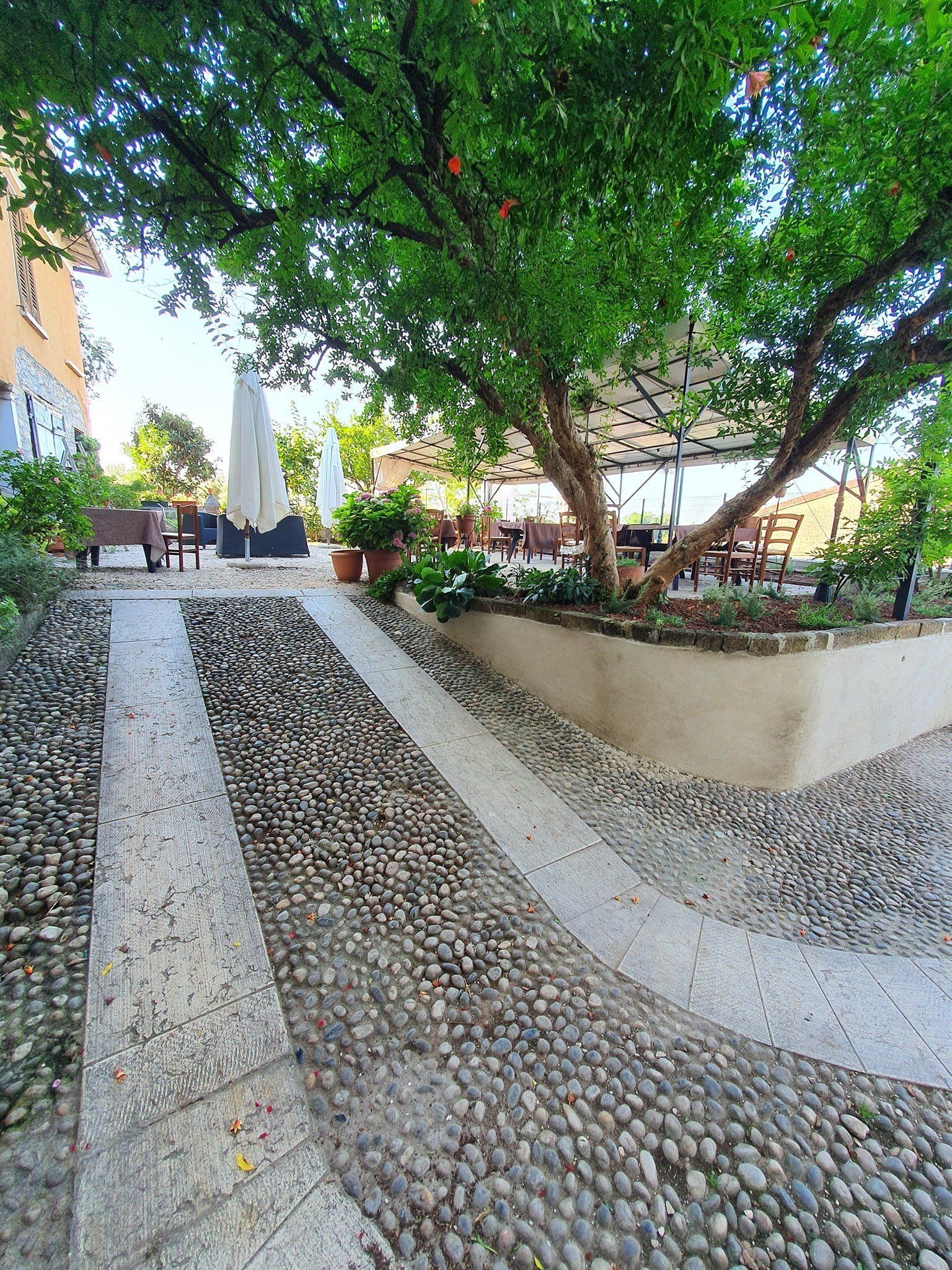 dehors di una trattoria