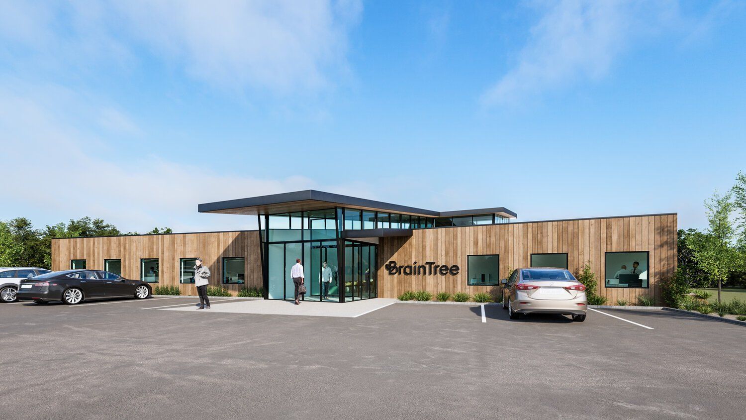 BrainTree Development Project Concept Picture