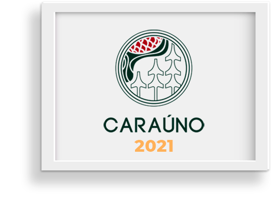 Um porta-retratos com logotipo para carauno 2021