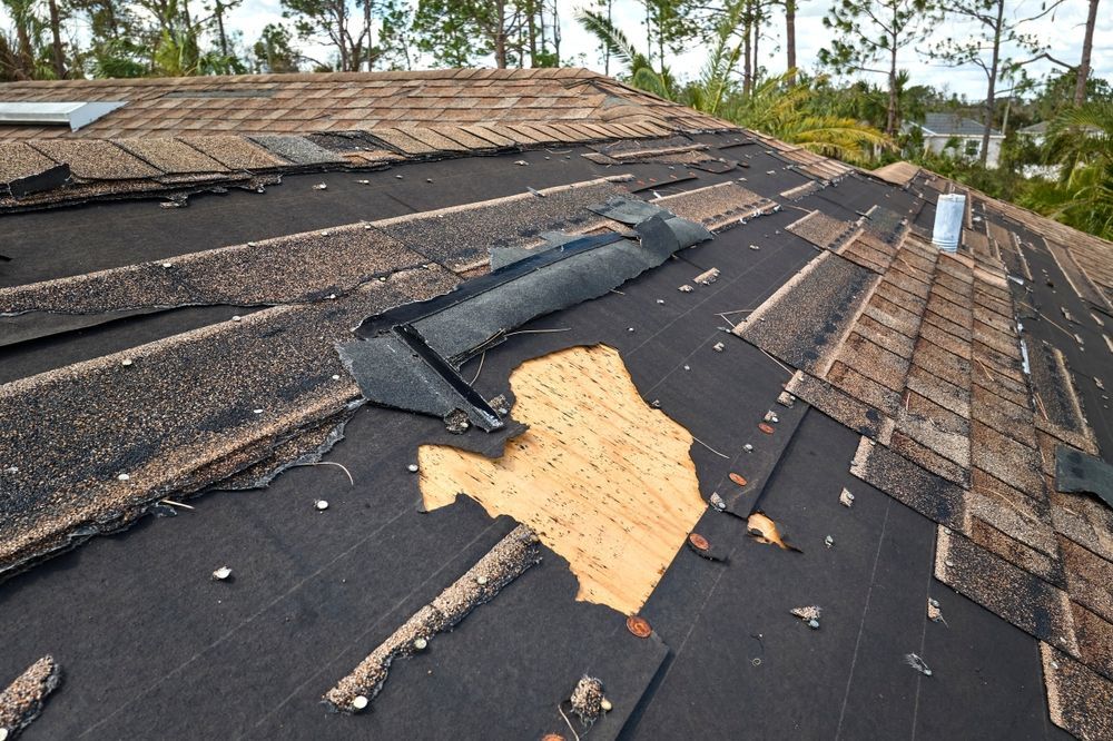 A damaged roof with missing shingles, exposed underlayment, and a patch of bare plywood sheathing.
