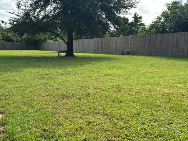 Green lawn with a large tree and a wooden fence in the background. A bench is under the tree.
