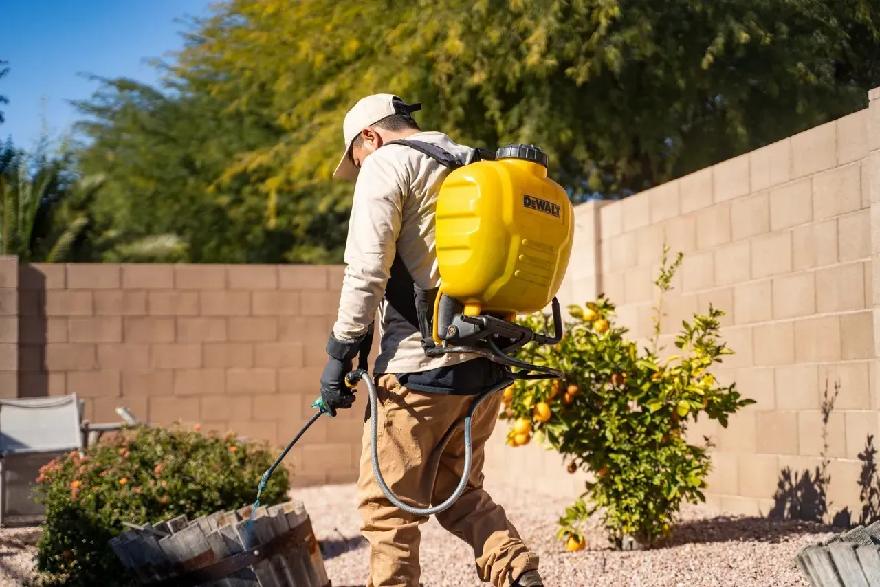 A man is spraying plants in a backyard with a backpack sprayer.