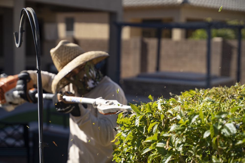 A man is cutting a hedge with a stihl hedge trimmer.