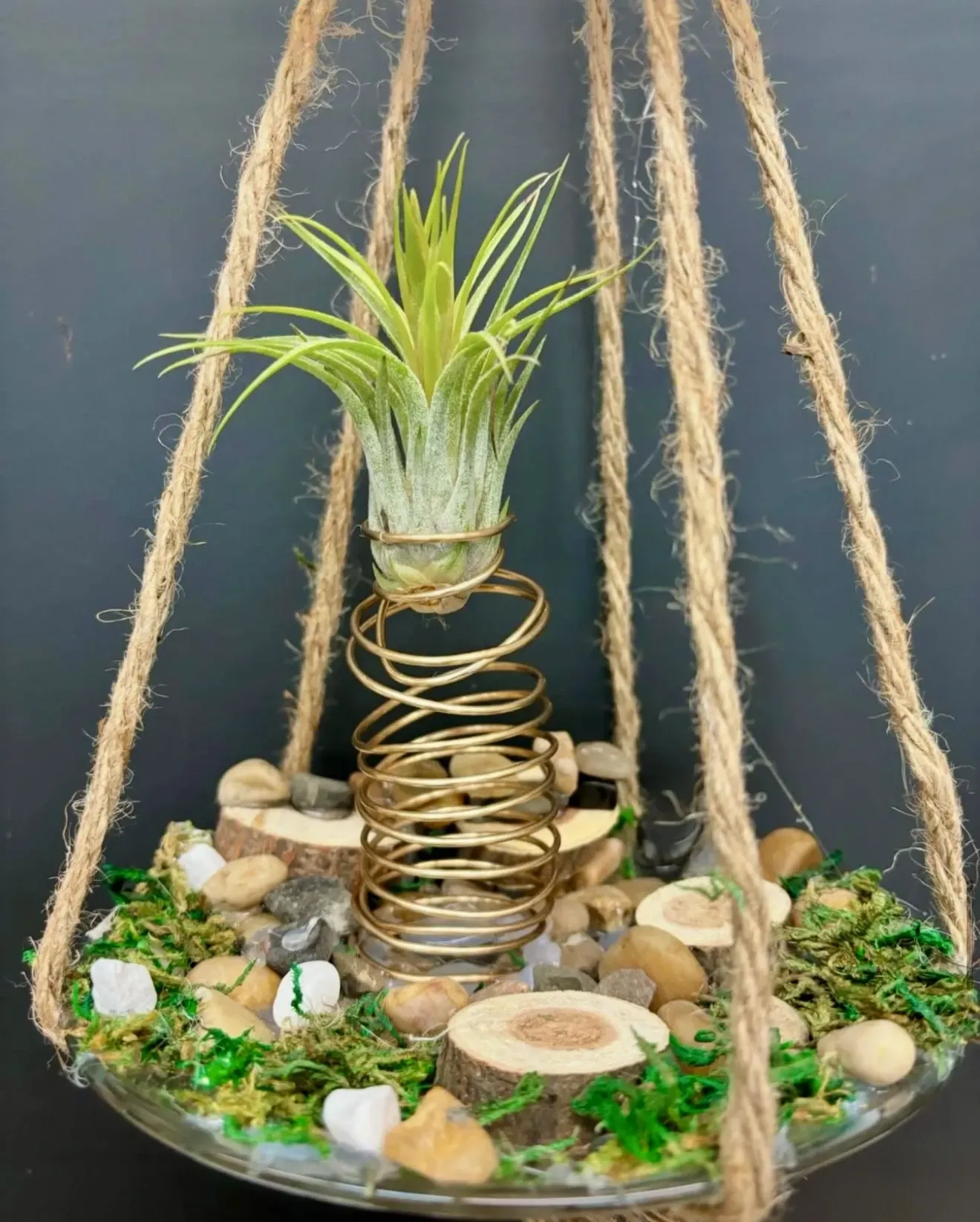 An air plant is hanging from a rope in a glass bowl.