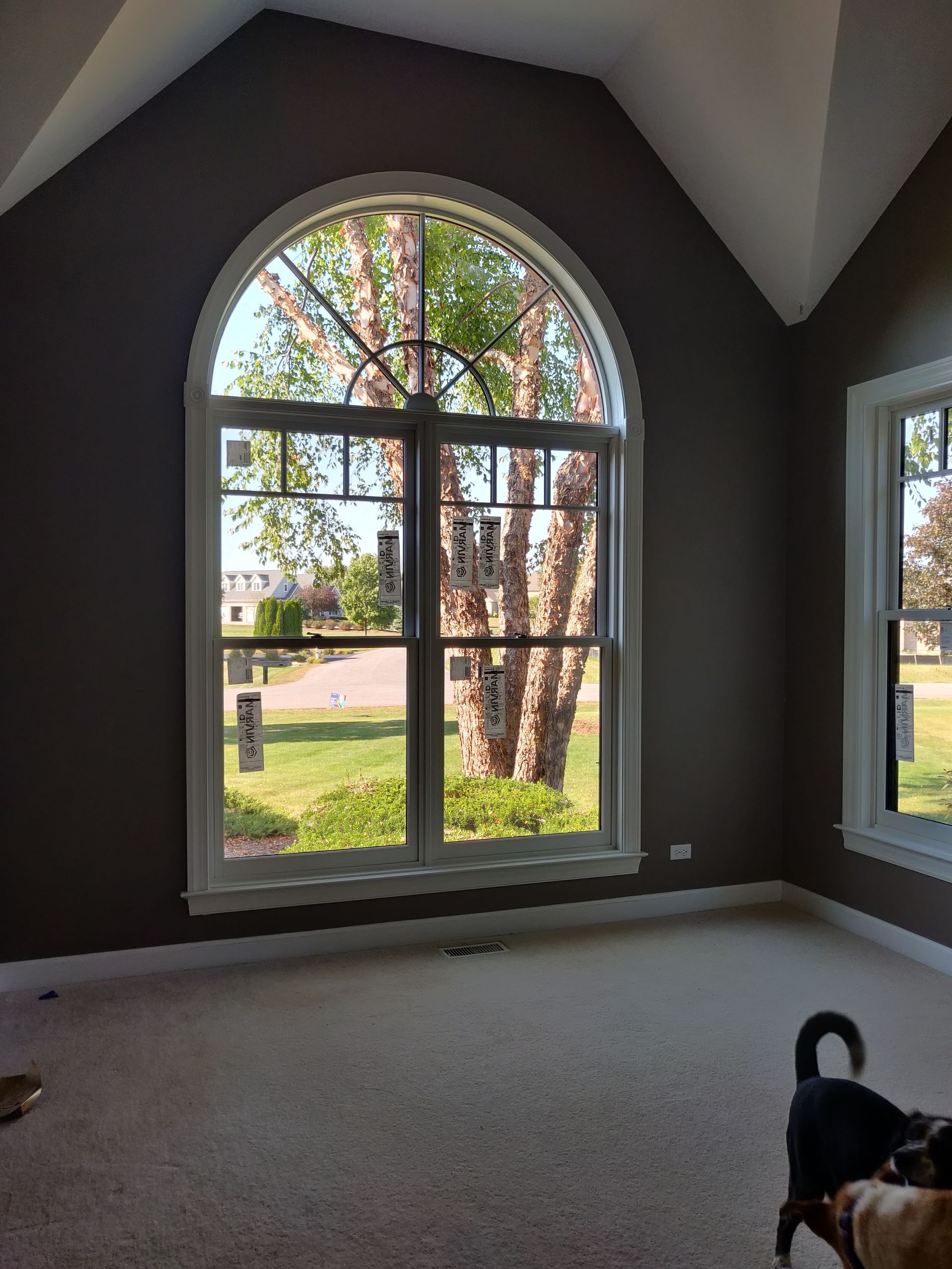 Room with a large arched window, tree view, and brown walls. A dog sits in the corner.