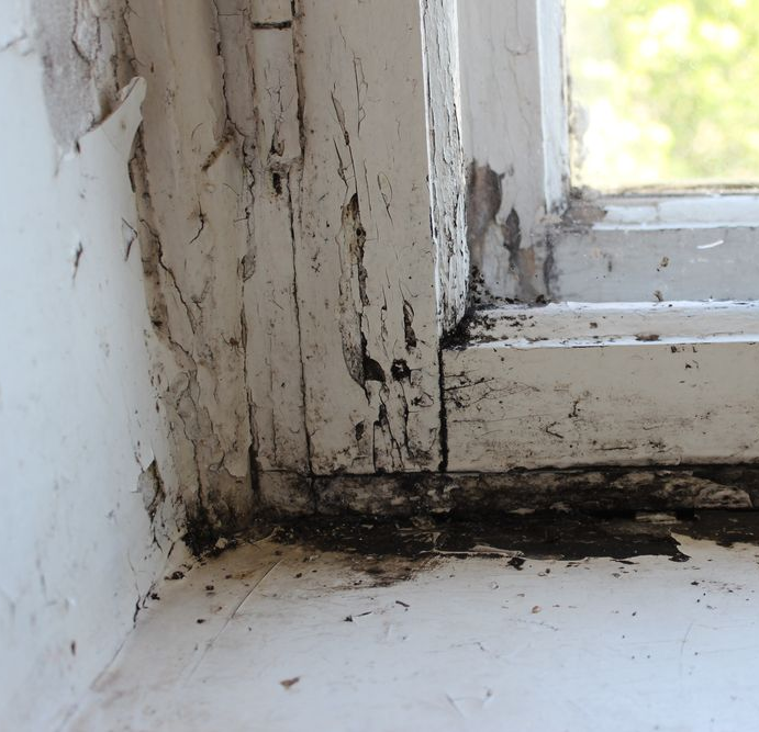 mold on window corner