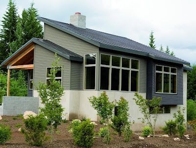 A house with a lot of windows is surrounded by trees and bushes