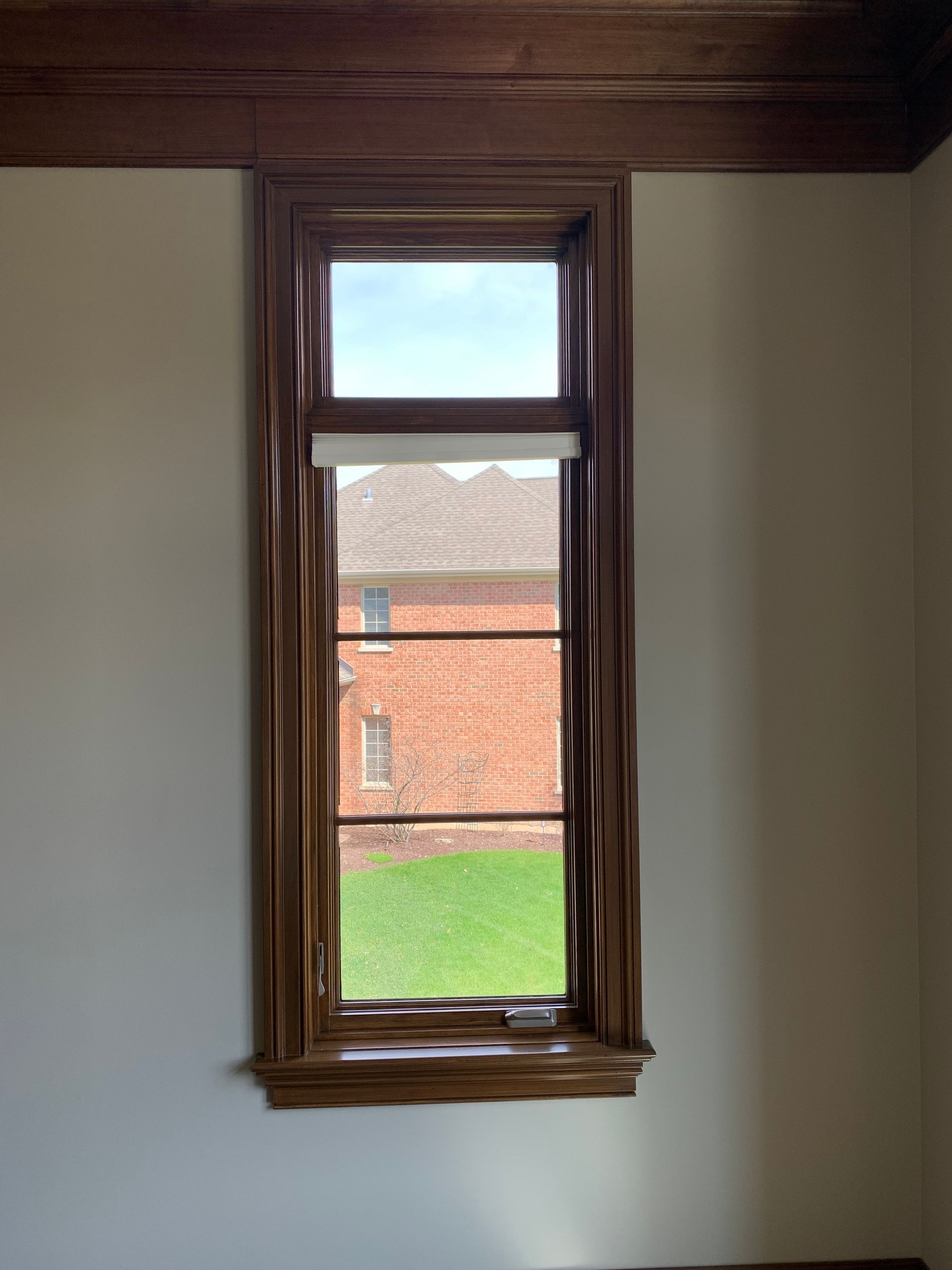 Tall, rectangular window with dark wood trim; houses and green lawn visible through the glass.