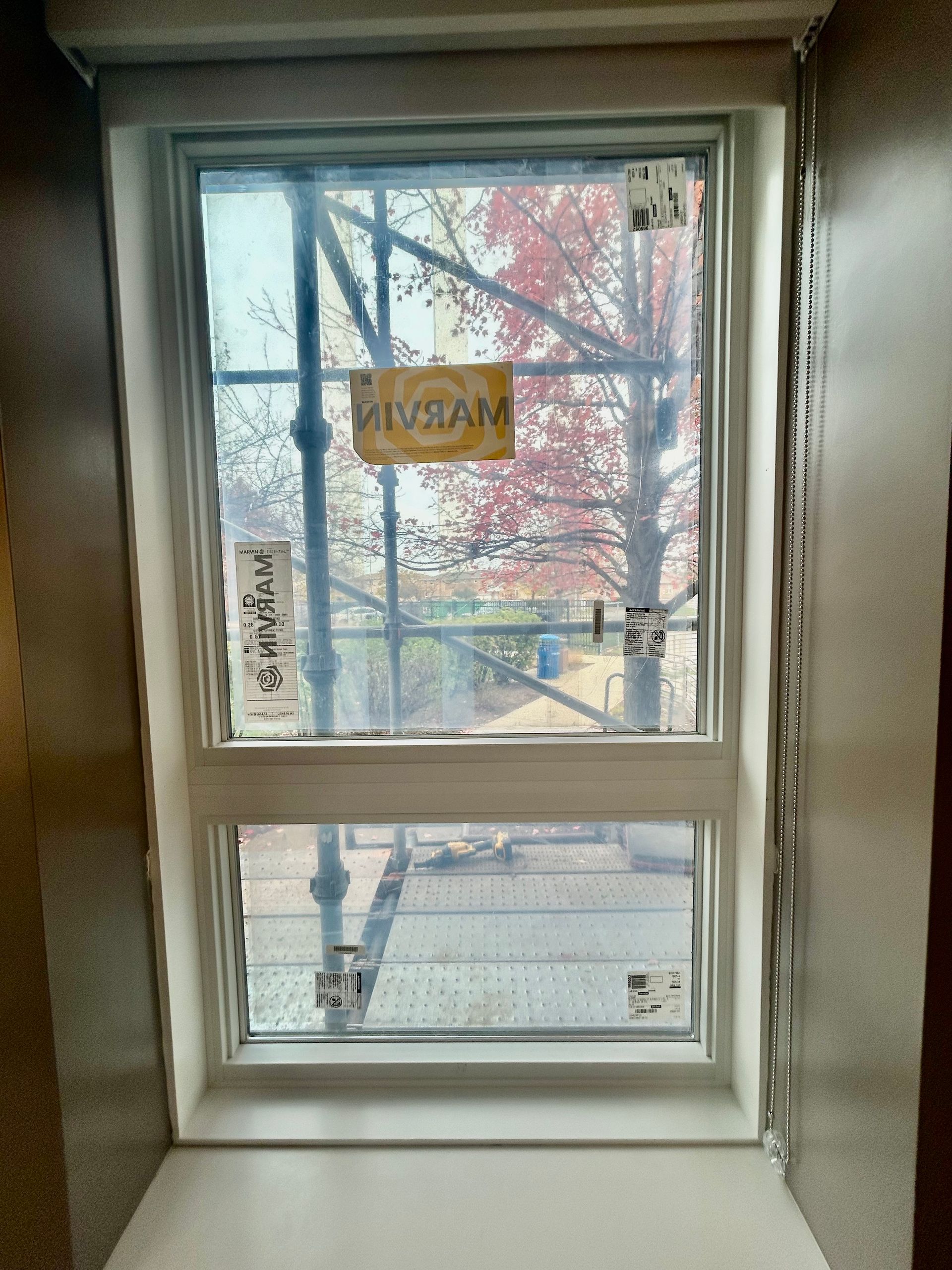 White framed double-hung window. View through the glass of a tree with red leaves.  Scaffolding visible.