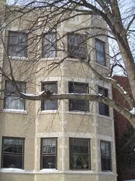 A building with a tree in front of it and snow on the windows.