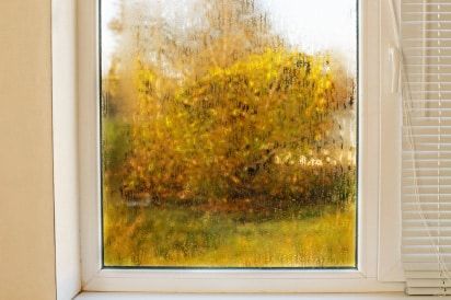 A window with a view of a garden and trees on a rainy day.