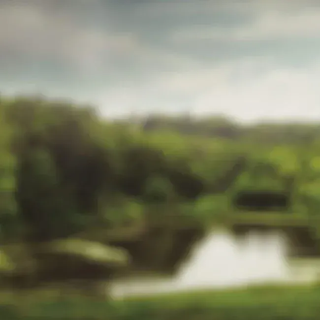 A blurry picture of a river surrounded by trees on a cloudy day.
