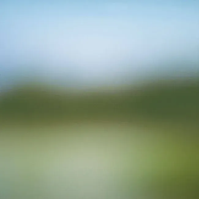 A blurry picture of a field with a blue sky in the background.
