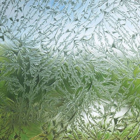 A close up of a window with a pattern of leaves on it