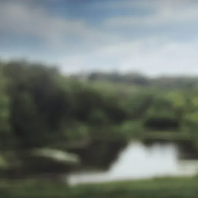A blurry picture of a lake surrounded by trees on a cloudy day.
