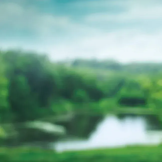 A blurry picture of a lake in the middle of a forest.