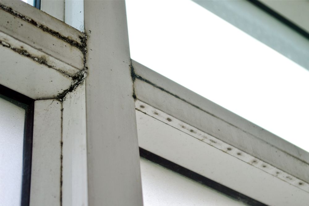 A close up of a window with a white frame