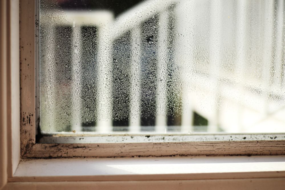 A warped window with condensation and mold.