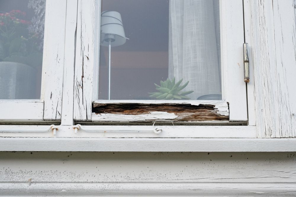 White window frame with peeling paint and wood rot, with a glimpse of an interior.