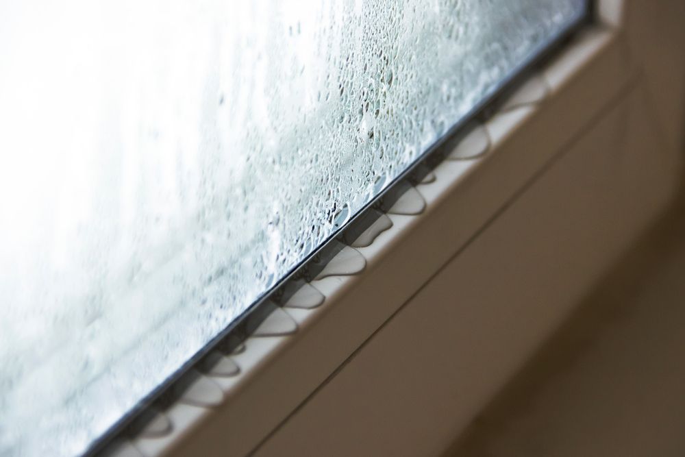 Warped window with condensation.