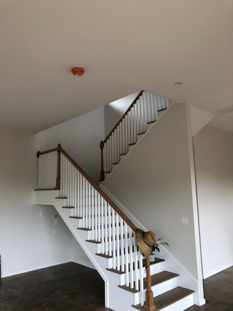 Interior of the living room