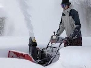 Seasonal Services | Brownstone Property Group | Brooklyn, NY