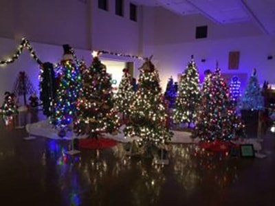 A room filled with lots of christmas trees decorated with lights.