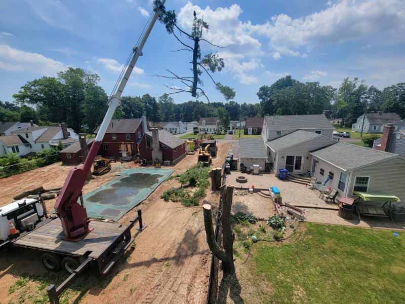 A crane lifts a tree top over a residential backyard with a pool, dirt lot, and houses under a partly cloudy blue sky.