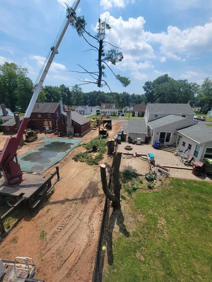 A crane lifts a cut pine tree top above a backyard with houses, a pool, and freshly cleared dirt paths on a sunny day.