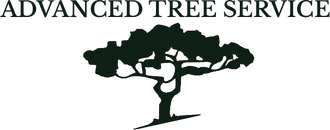 A logo featuring the text "ADVANCED TREE SERVICE" above a stylized black silhouette of a tree.