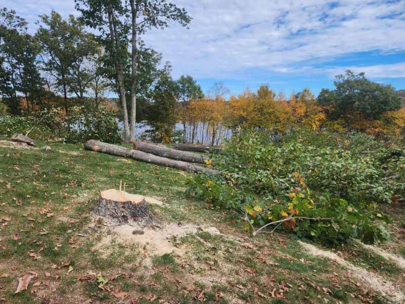 A fresh tree stump in a grassy yard, with fallen logs and foliage nearby, overlooking a lake surrounded by autumn trees.