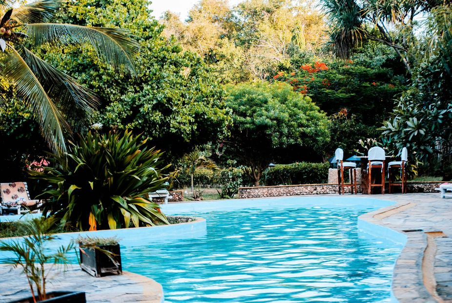 A large swimming pool surrounded by trees and chairs