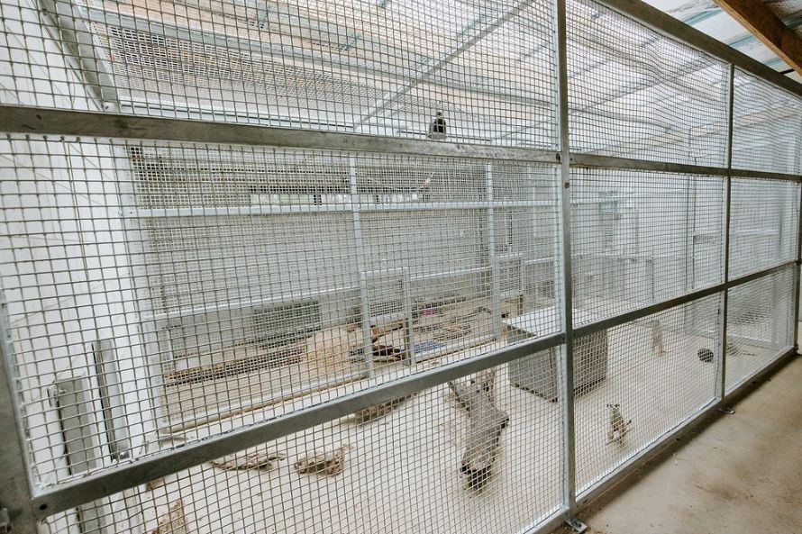 Close Up View of Metal Cage — Engineering And Drafting Services In Yeppoon, QLD