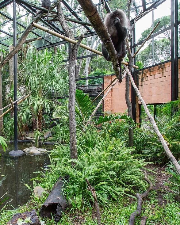New Large Cage For Animals — Engineering And Drafting Services In Yeppoon, QLD