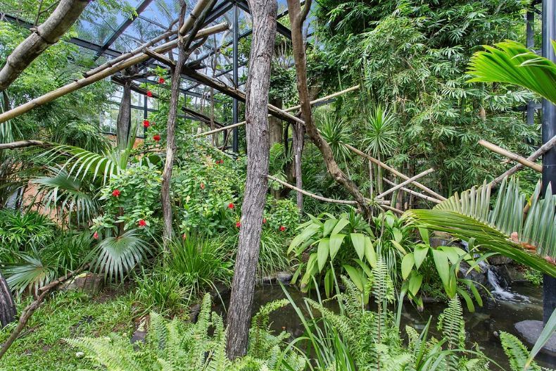Beautiful Plants — Engineering And Drafting Services In Yeppoon, QLD
