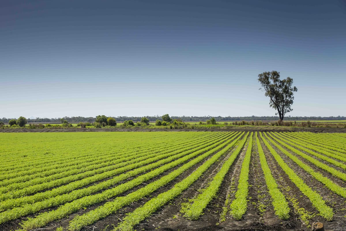 Emerald, QLD