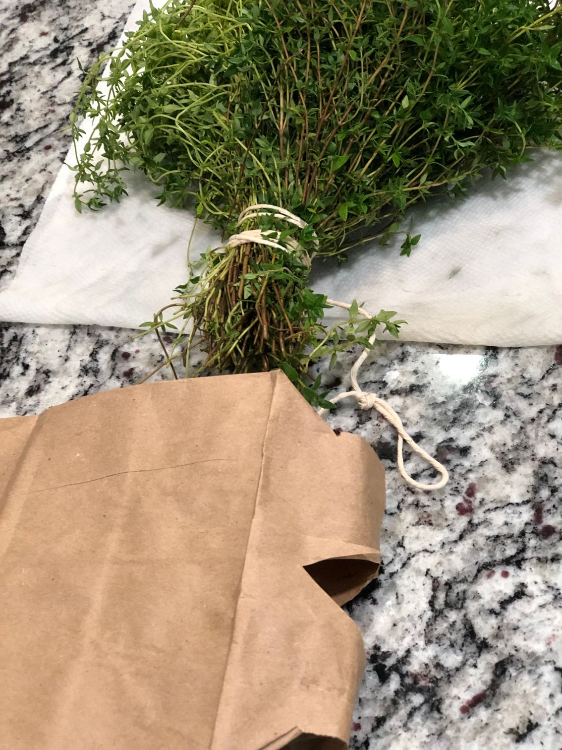 Bundled fresh thyme ready for drying