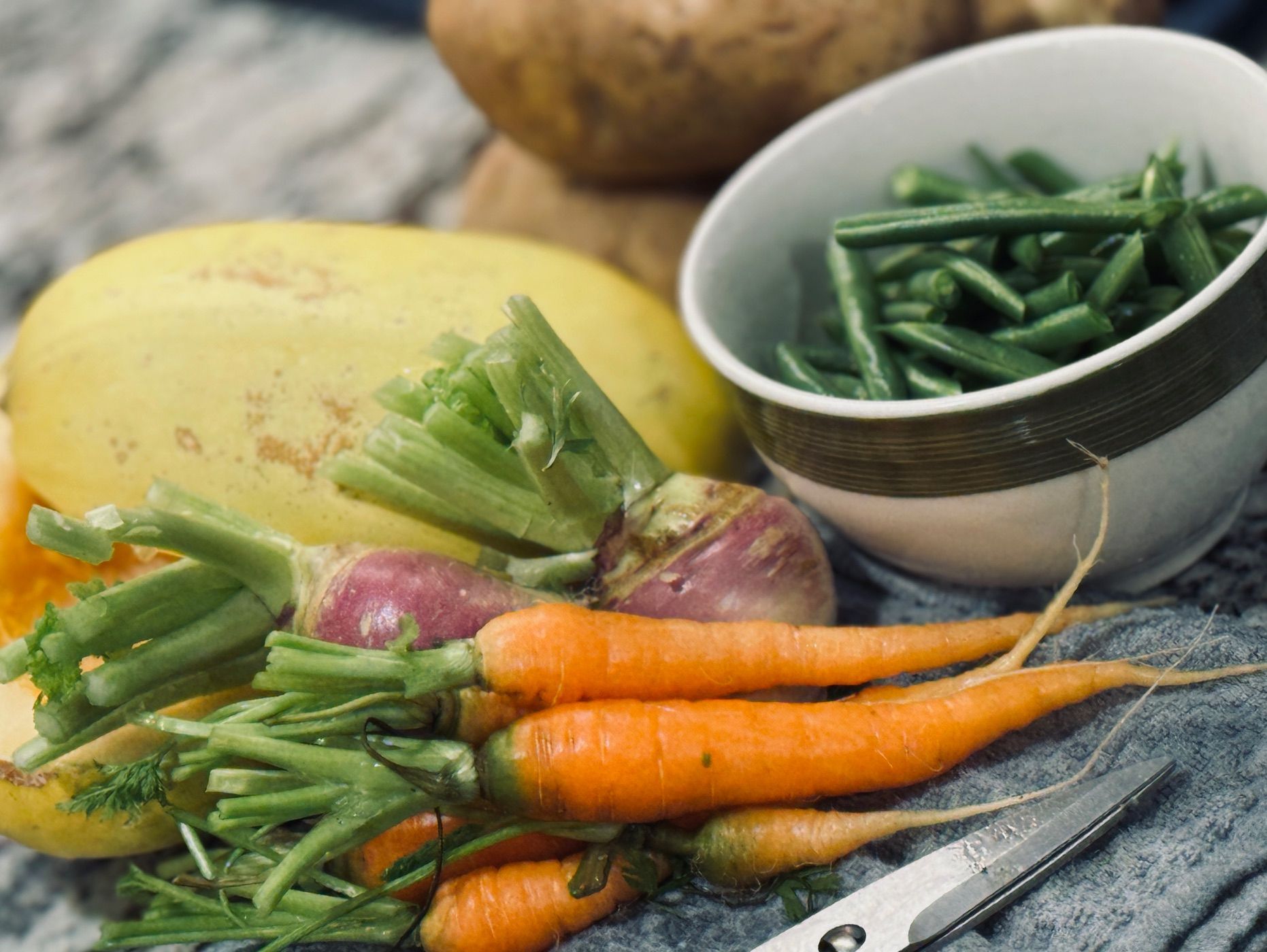 November vegetables from our garden included Turnips and Carrots!