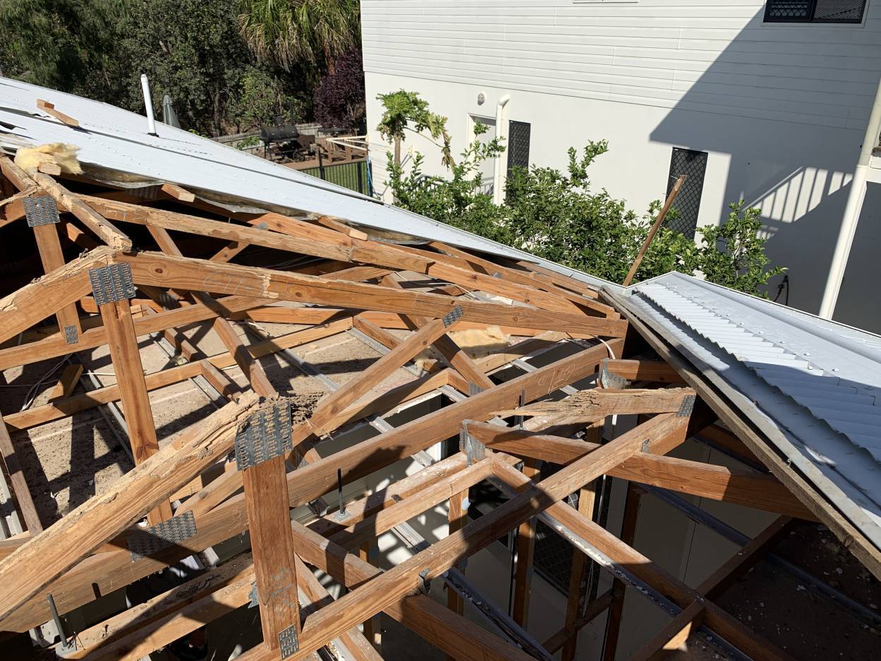 termites can damage roof structures again