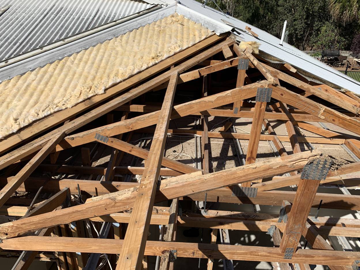 termites can damage roof structures