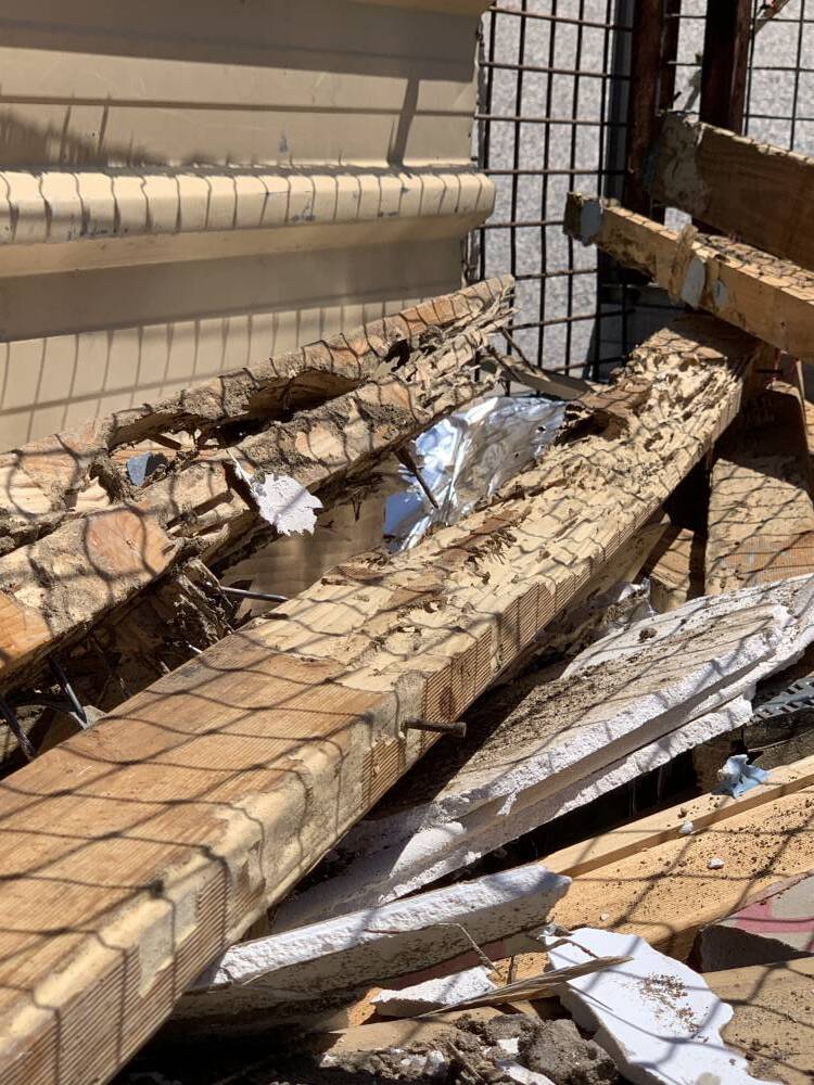 termites will eat everything