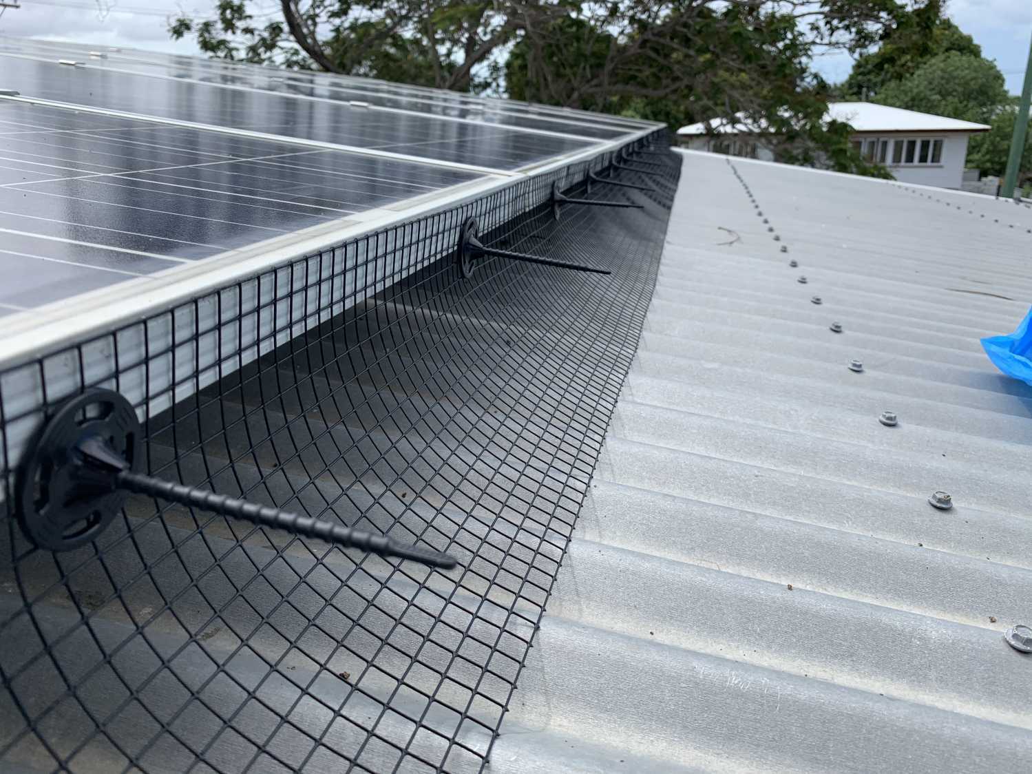 Solar Panel Bird Proofing Townsville near me