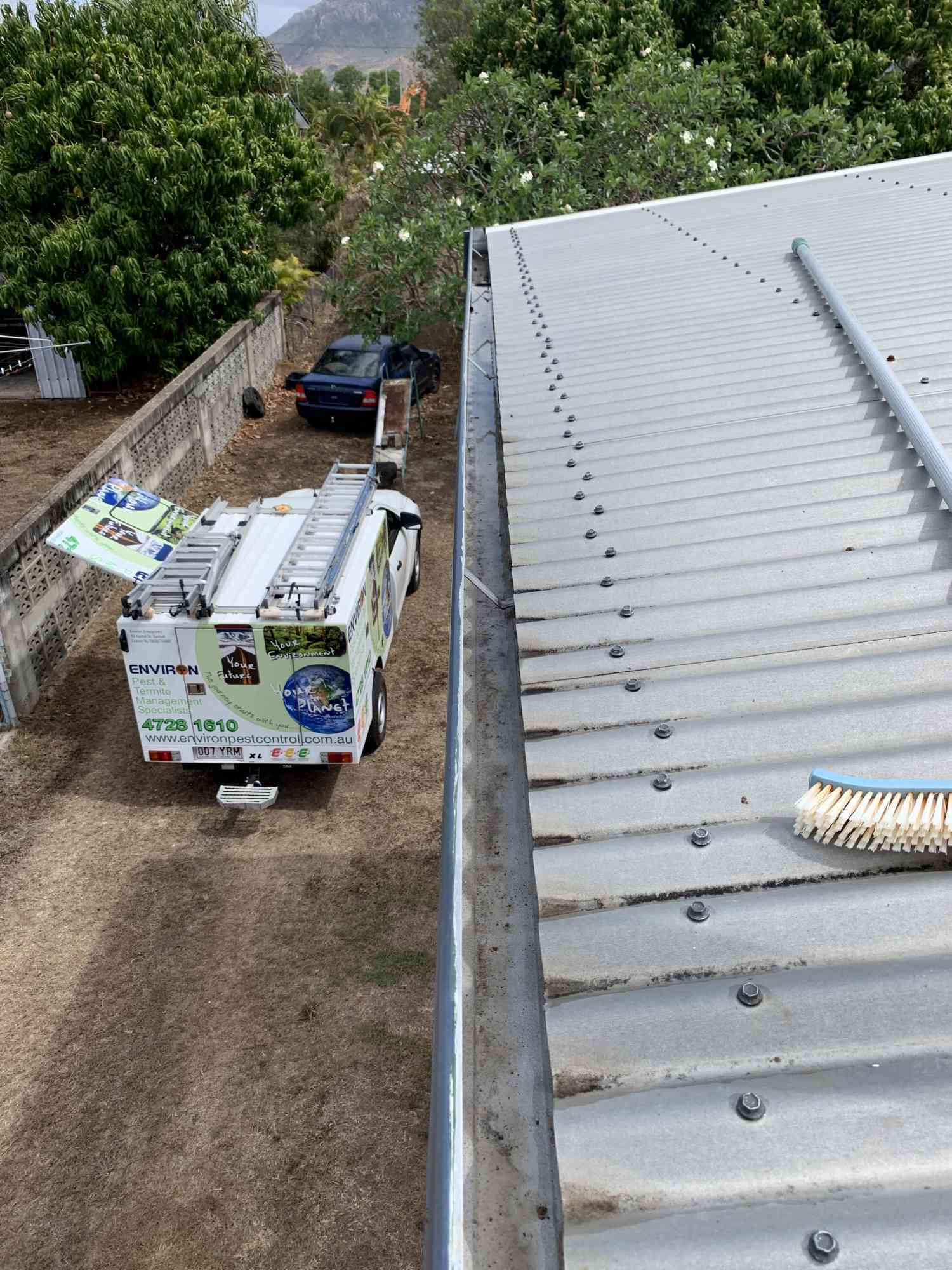 Solar Panel Bird Proofing pests